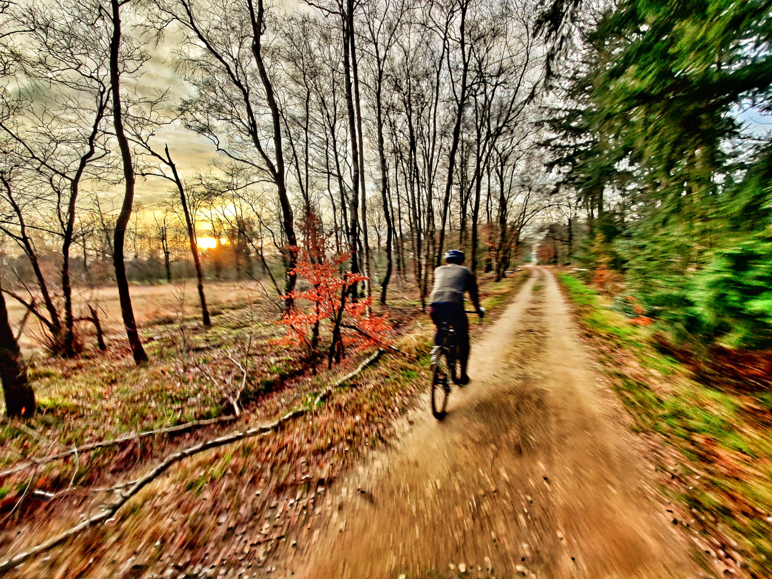 IMG_20201216_155204_edited (1).jpeg