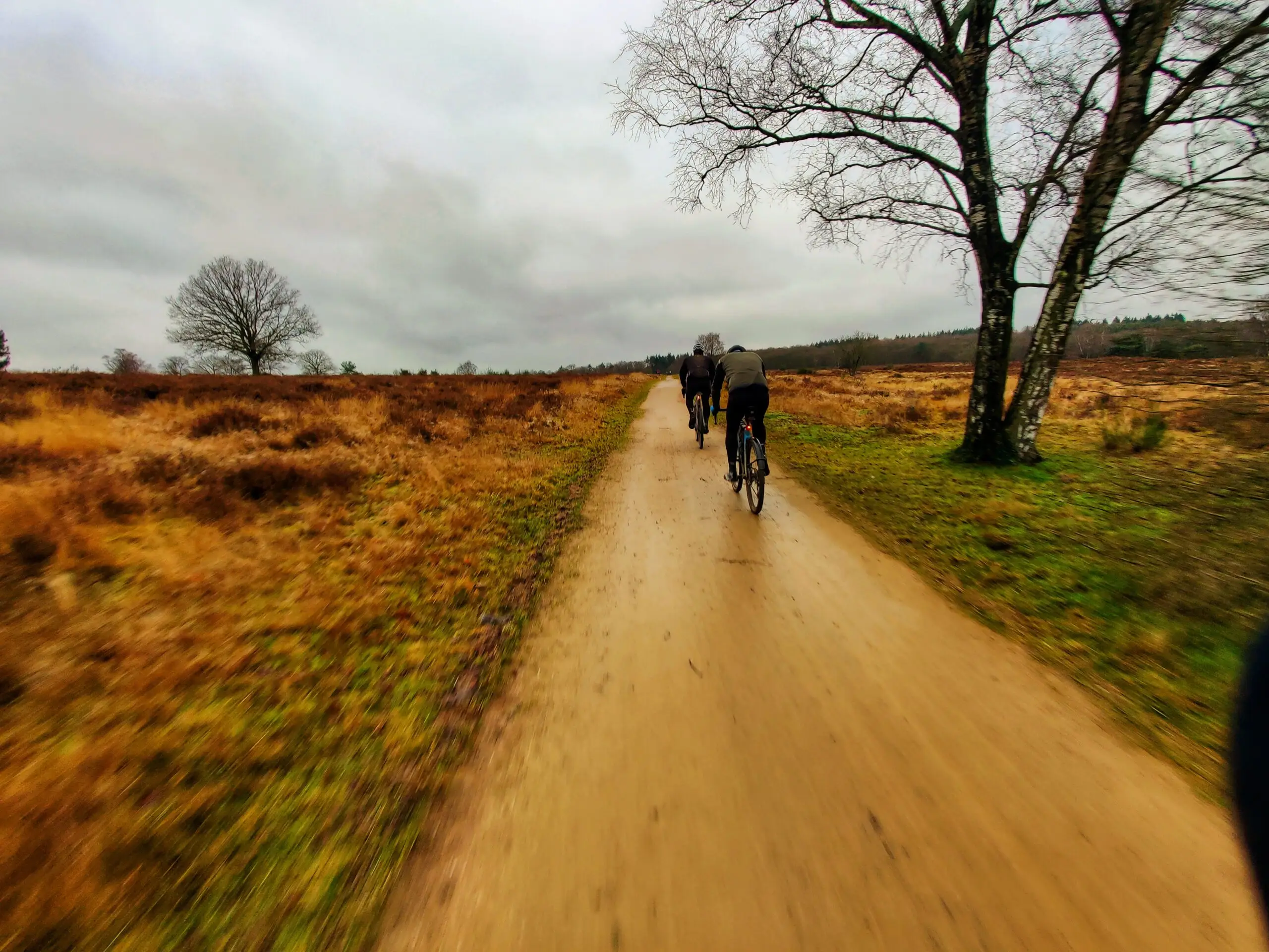 IMG_20211219_113513-01