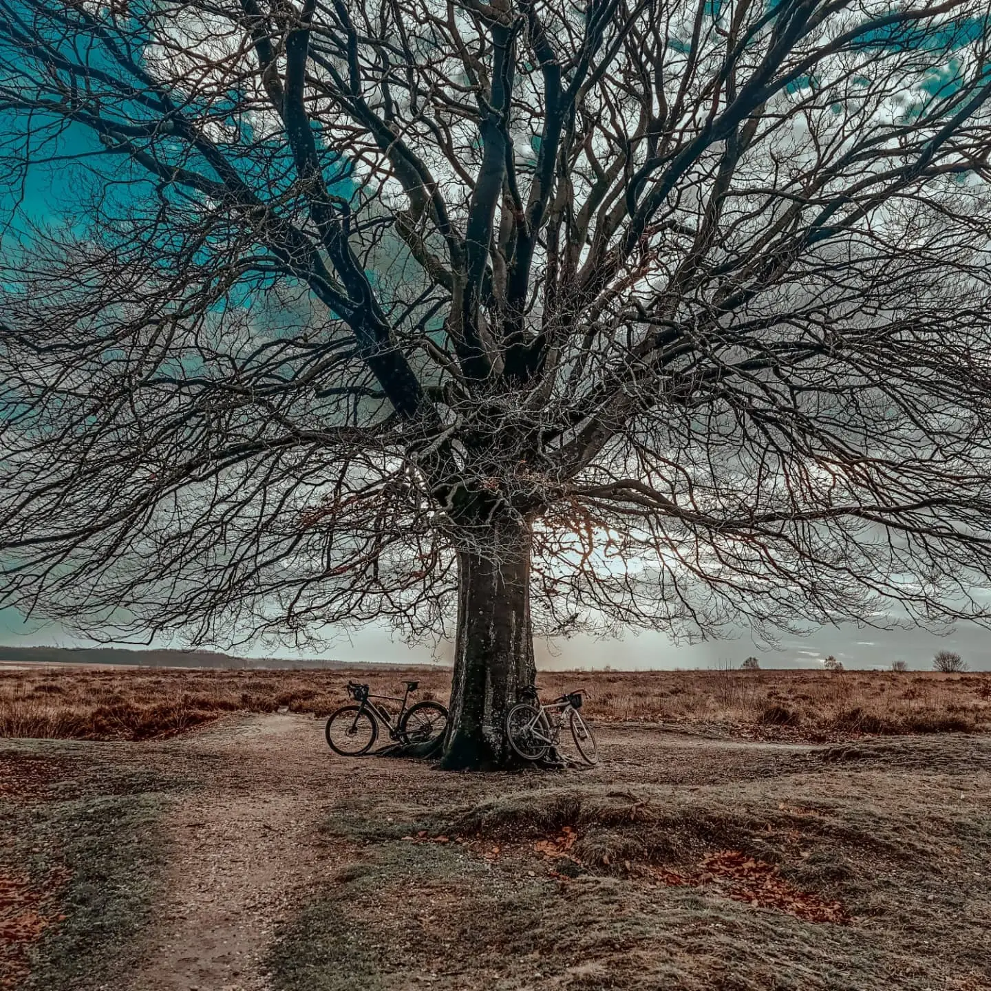 IMG_20220105_125556_340