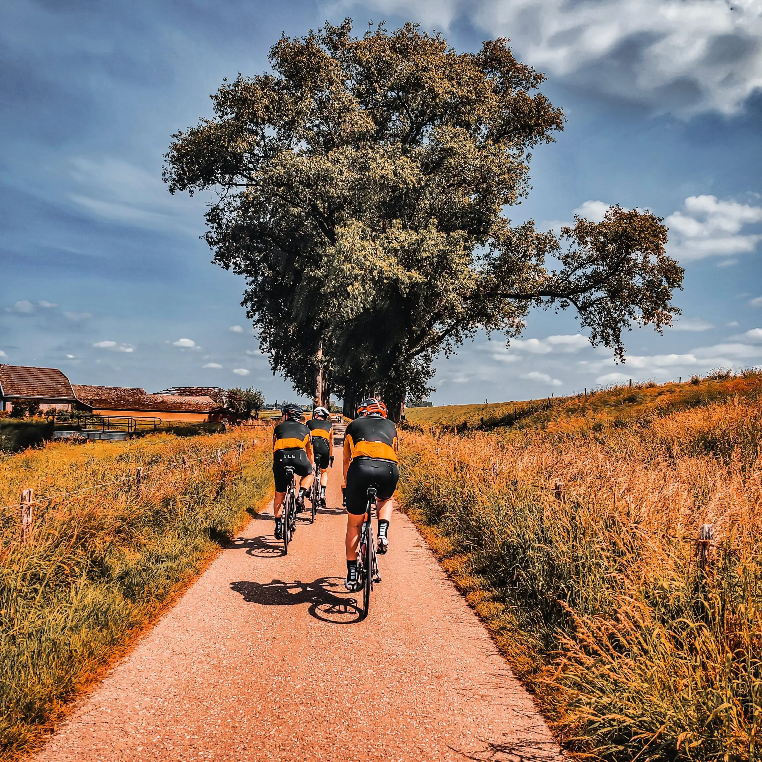 img_20220522_121614-012837863537931640221