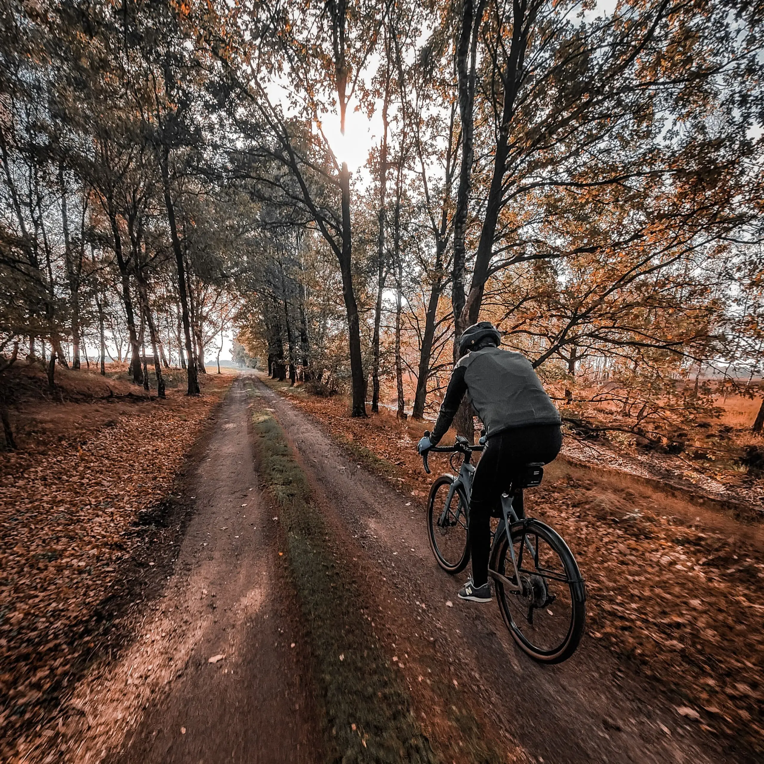 IMG_20221107_063723_475 IMG_20221107_063723_475