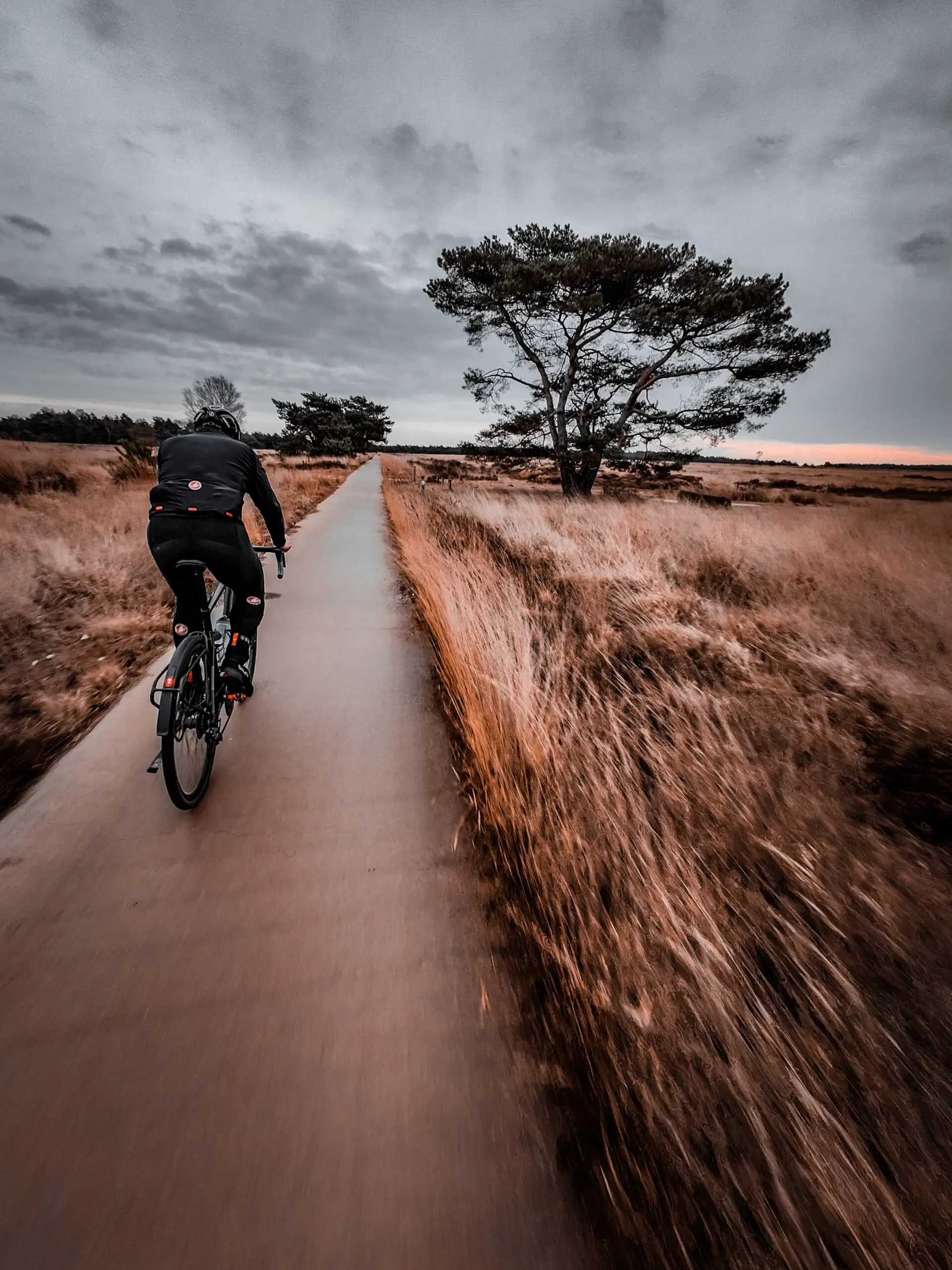 IMG20221230121219 IMG20221230121219