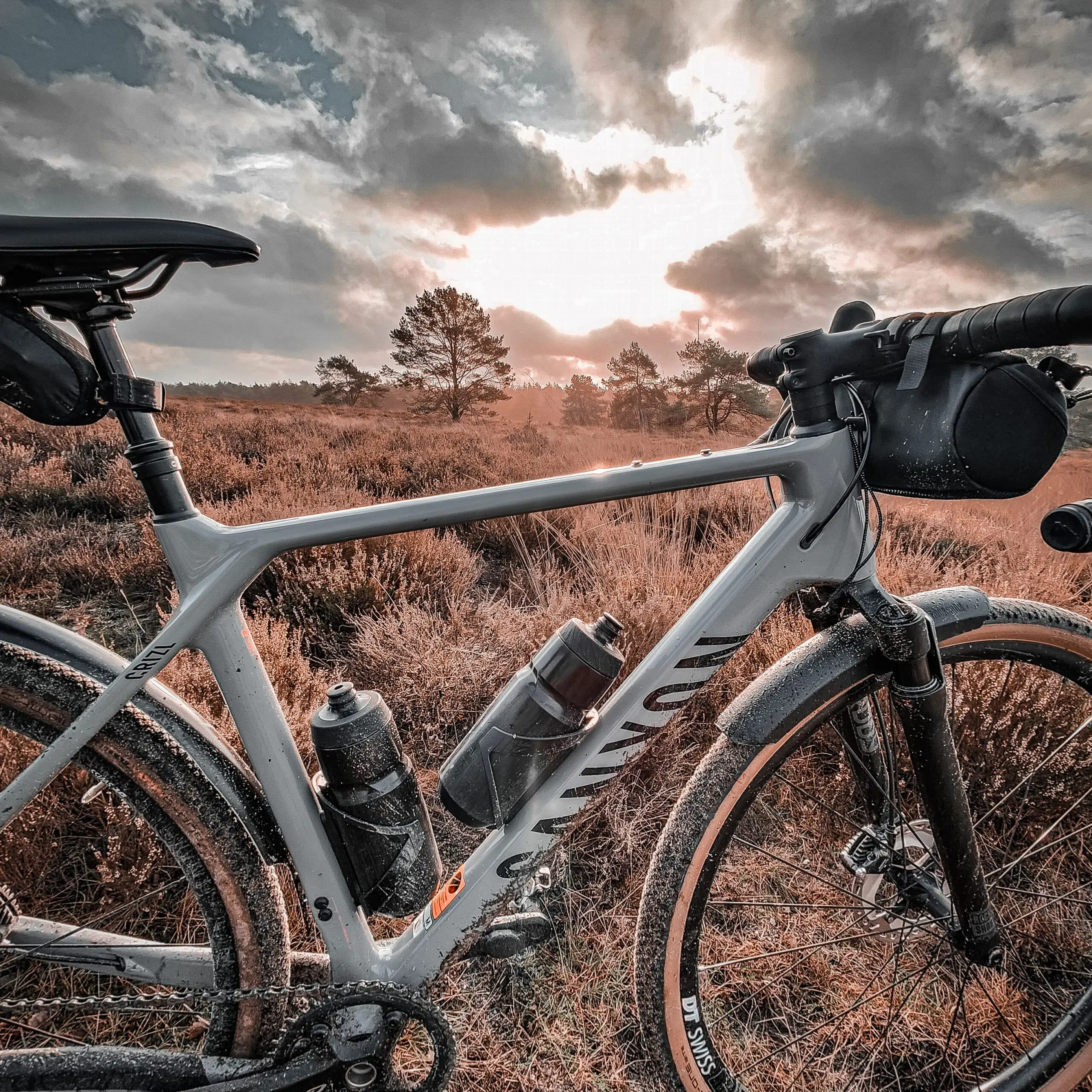 IMG_20230103_071222_680 IMG_20230103_071222_680