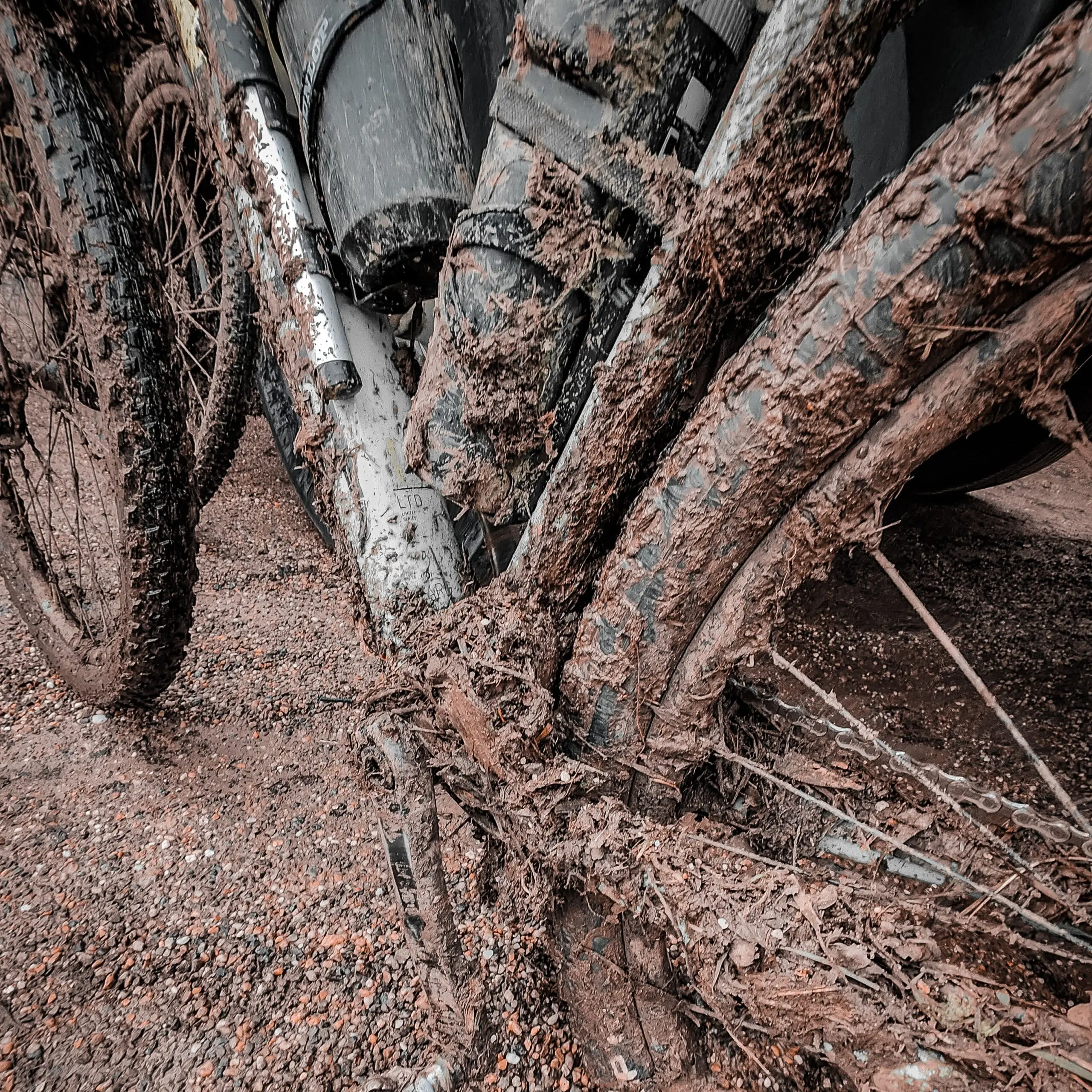 IMG_20230115_171847_582