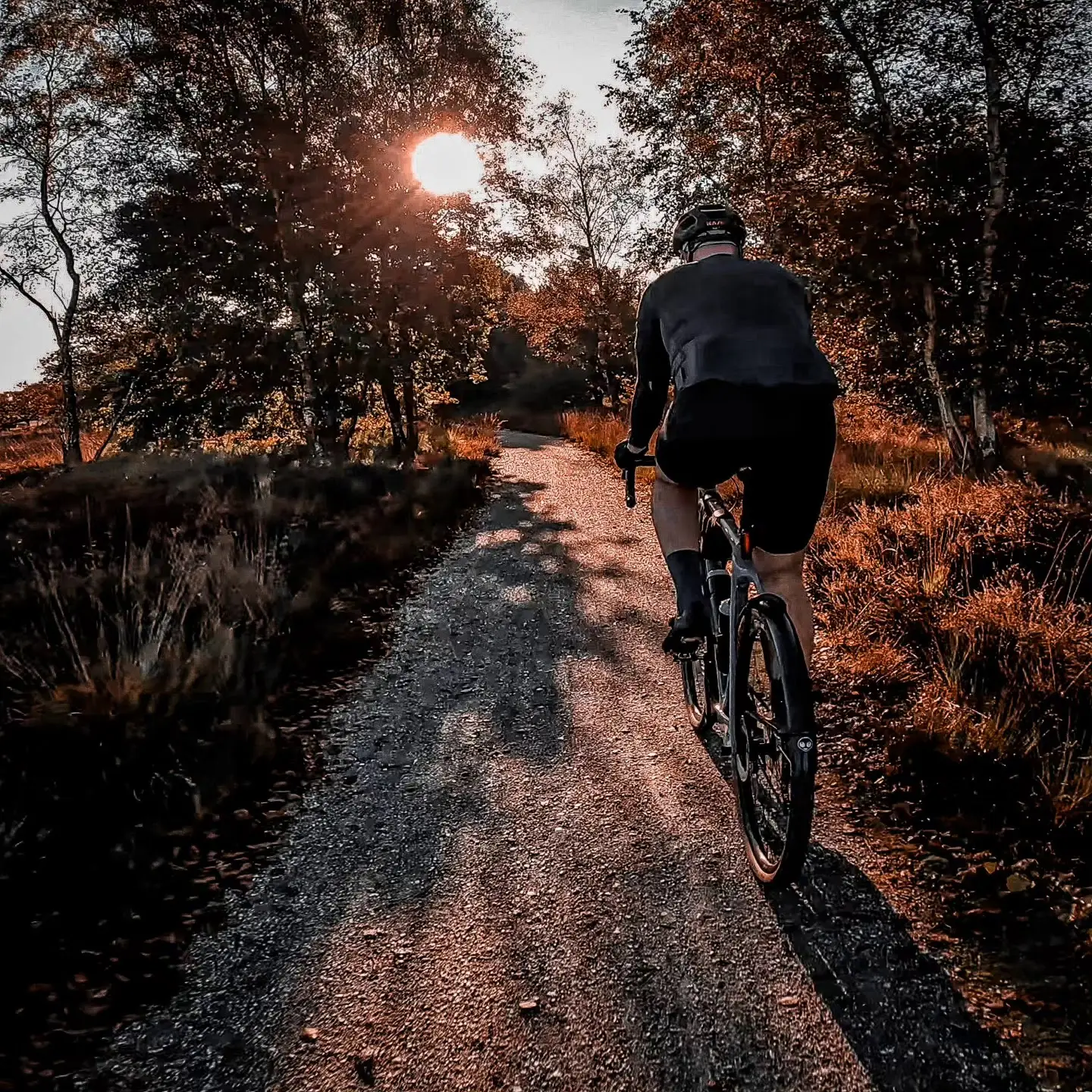 IMG_20231002_060940_755