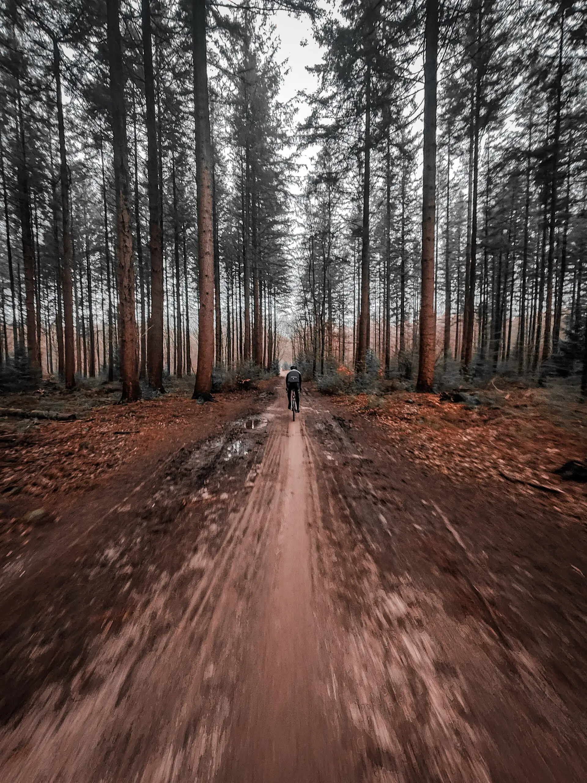 IMG20240217094857 IMG20240217094857