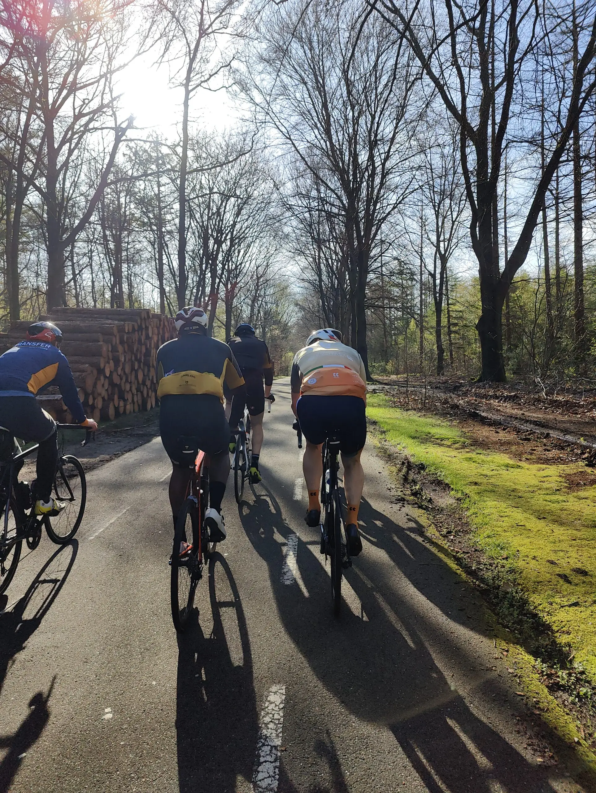 oplus_1048608 oplus_1048608