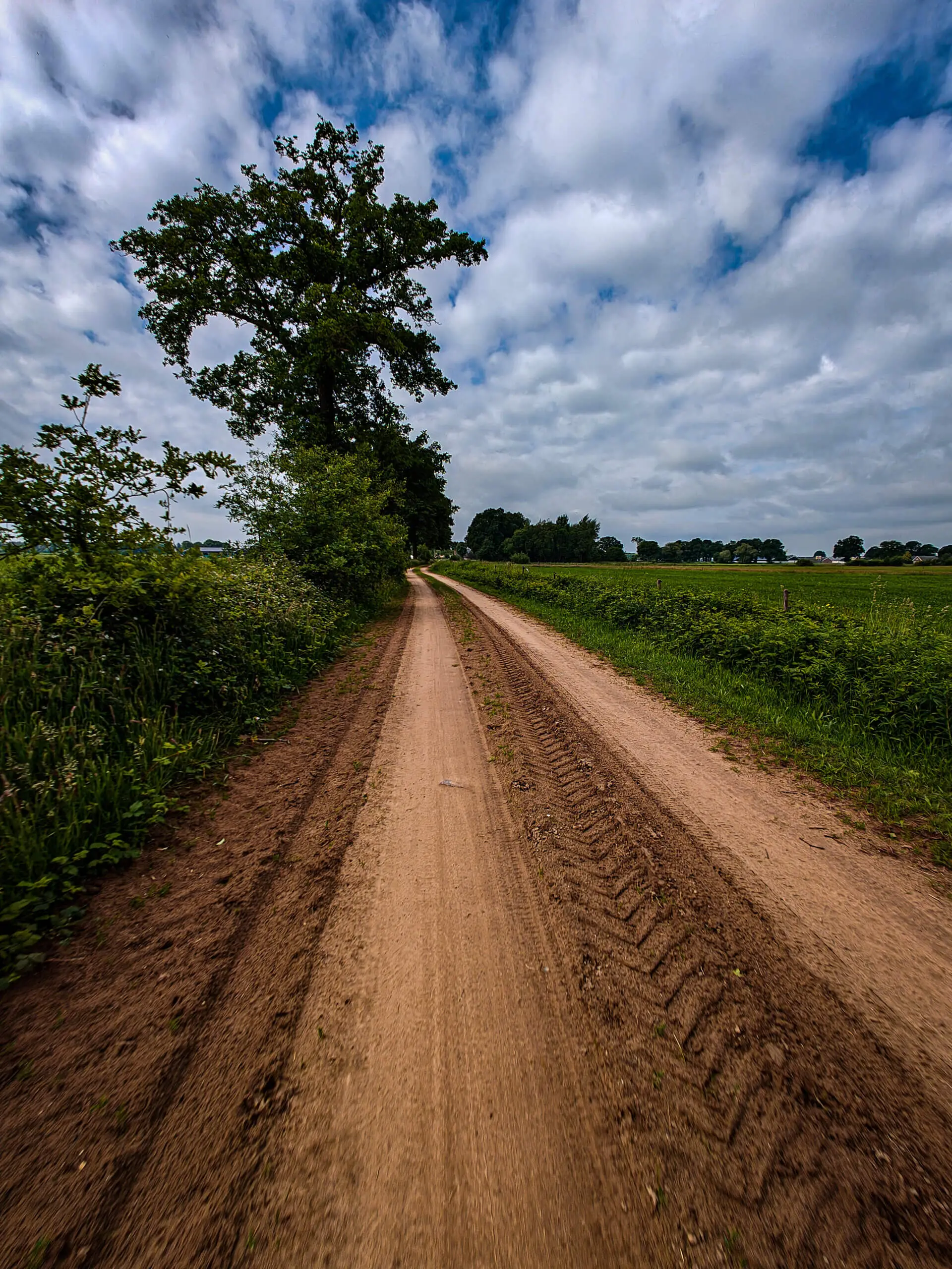 oplus_3145762 oplus_3145762