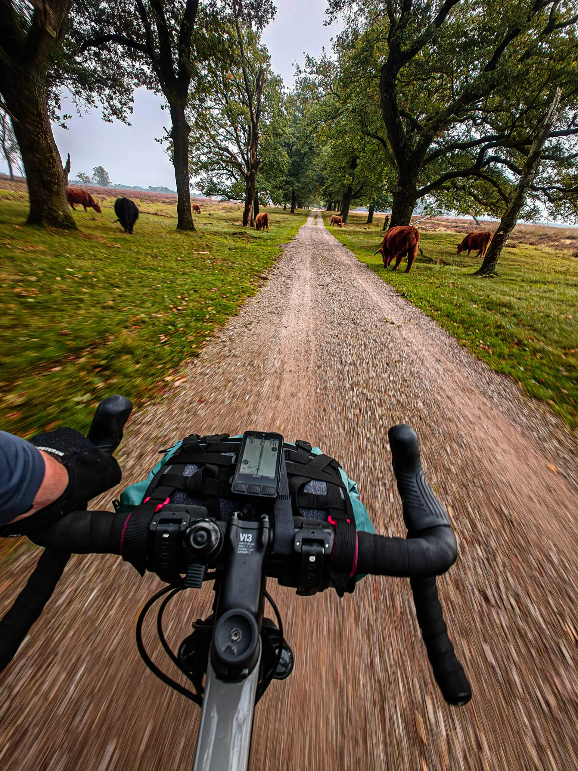 oplus_3145760 oplus_3145760