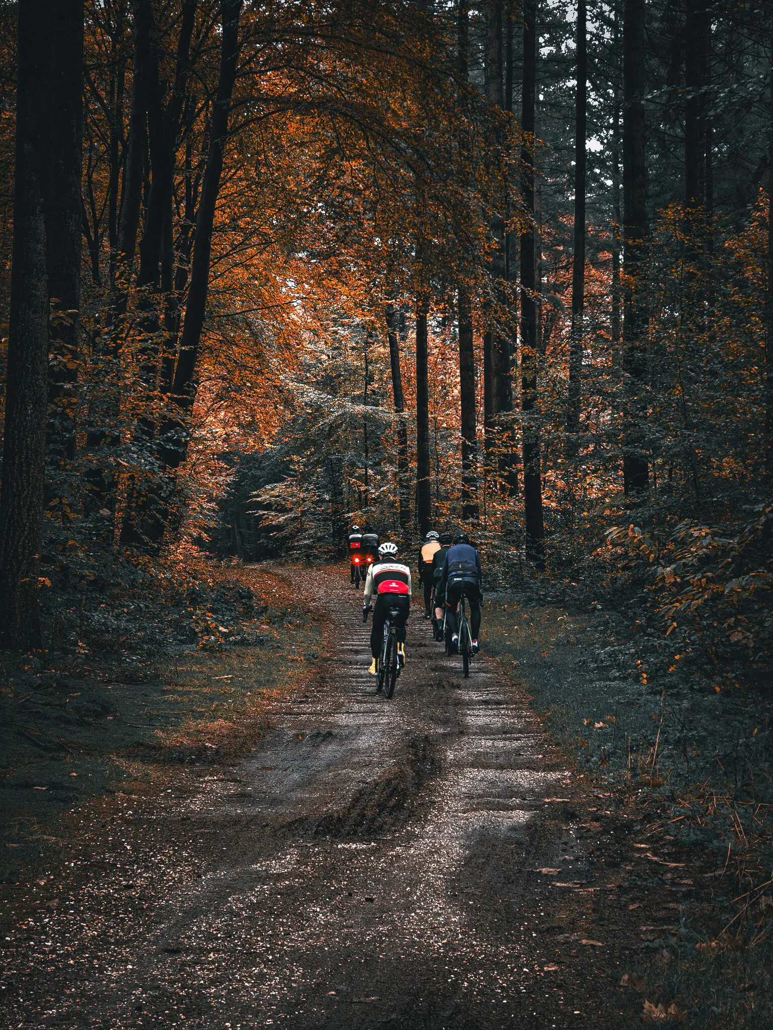 15-IMG20251102101632